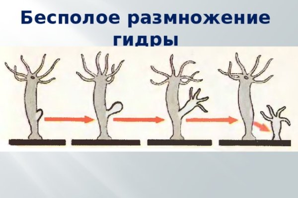 Кракен сайт как выглядит