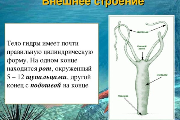 Кракен ссылка официальная в тор